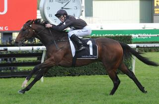 Ecuador winning the Listed WJ McKell Cup. Photo courtesy of Equine Images